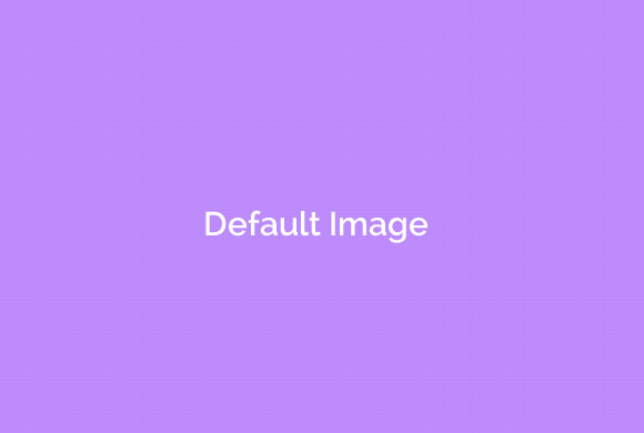 javascript how to talk to cleverbot via input box?